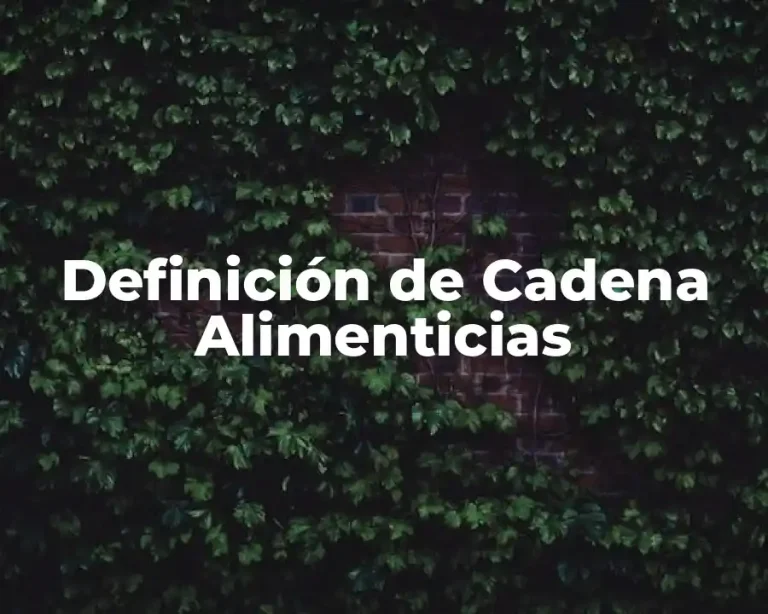 Definición de Cadena Alimenticias