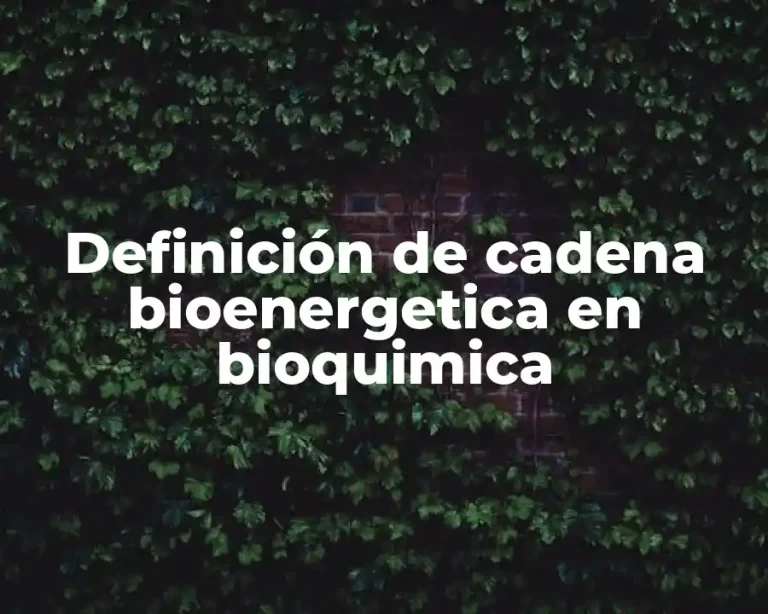 Definición de cadena bioenergetica en bioquimica