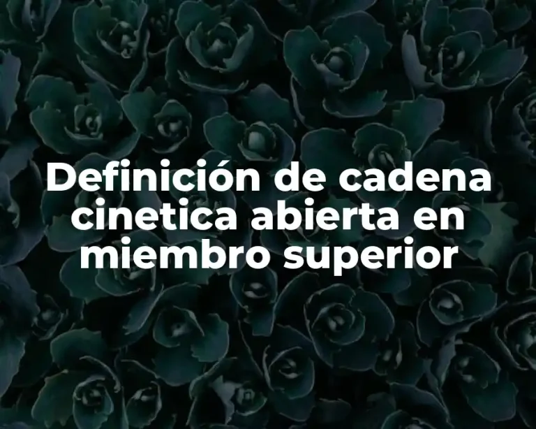 Definición de cadena cinetica abierta en miembro superior