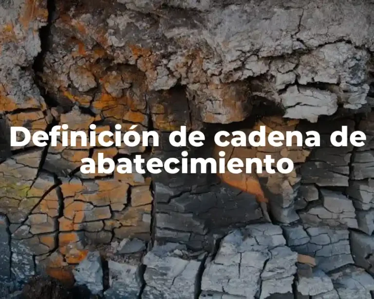 Definición de cadena de abatecimiento