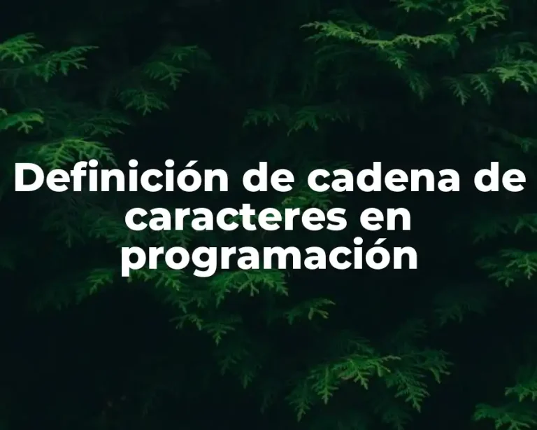 Definición de cadena de caracteres en programación