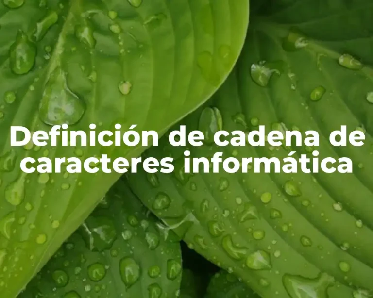 Definición de cadena de caracteres informática