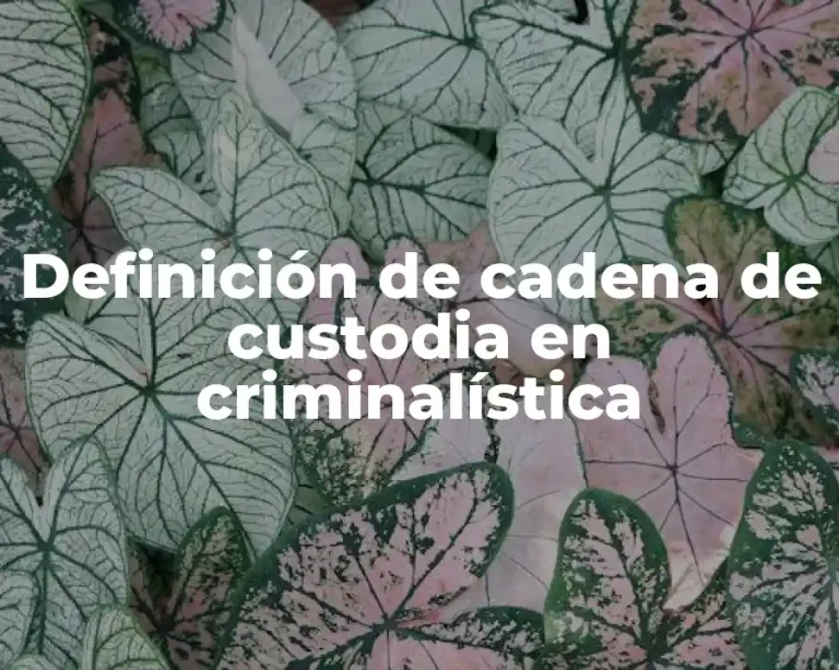 Definición de cadena de custodia en criminalística