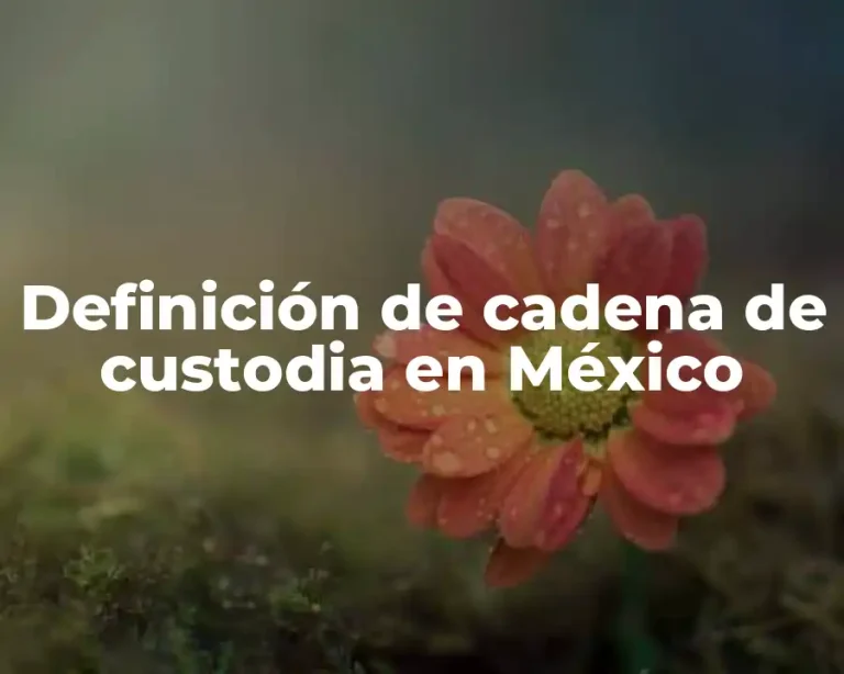 Definición de cadena de custodia en México