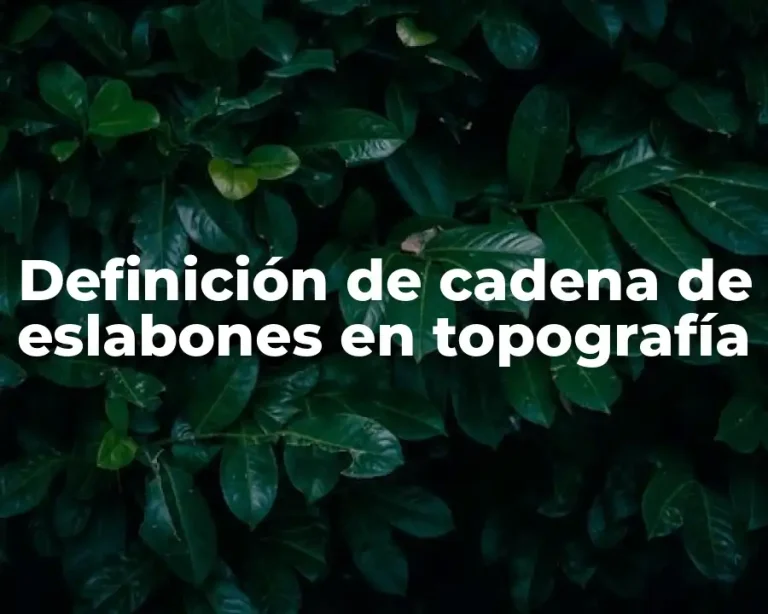 Definición de cadena de eslabones en topografía