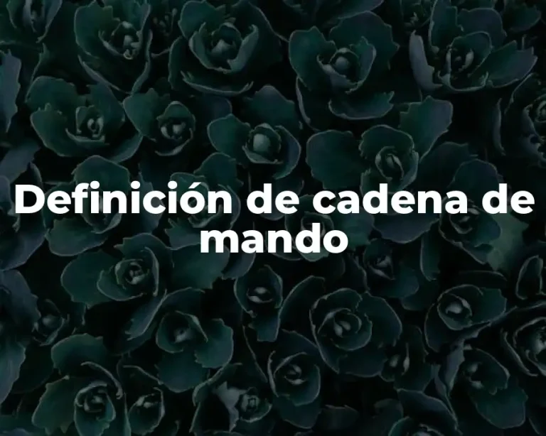 Definición de cadena de mando