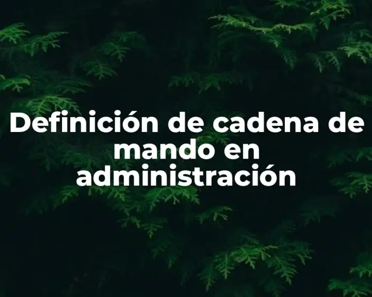 Definición de cadena de mando en administración