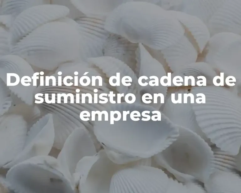 Definición de cadena de suministro en una empresa