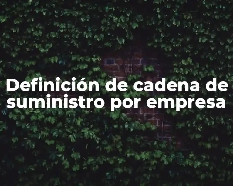 Definición de cadena de suministro por empresa