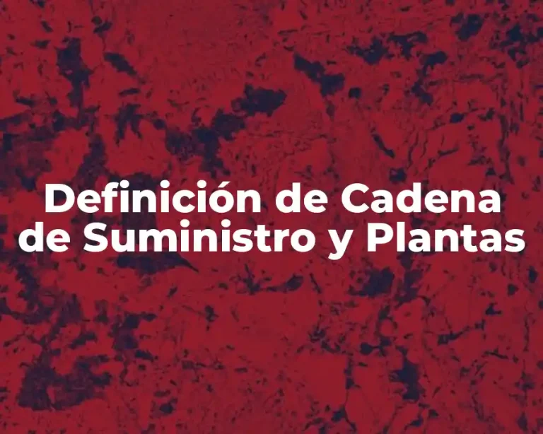 Definición de Cadena de Suministro y Plantas