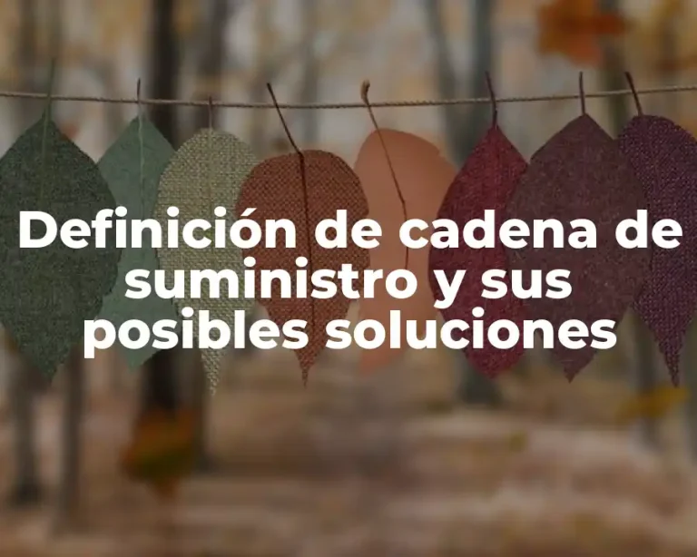 Definición de cadena de suministro y sus posibles soluciones
