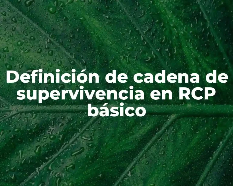 Definición de cadena de supervivencia en RCP básico