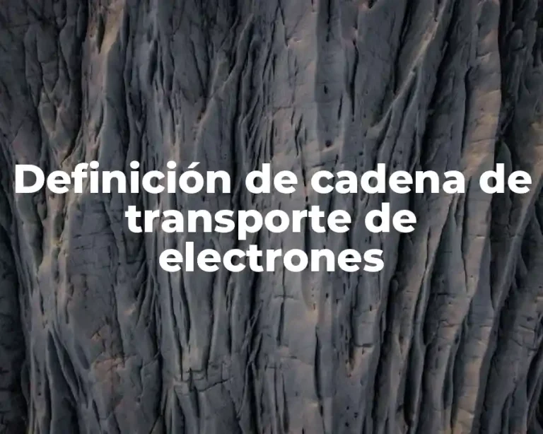 Definición de cadena de transporte de electrones