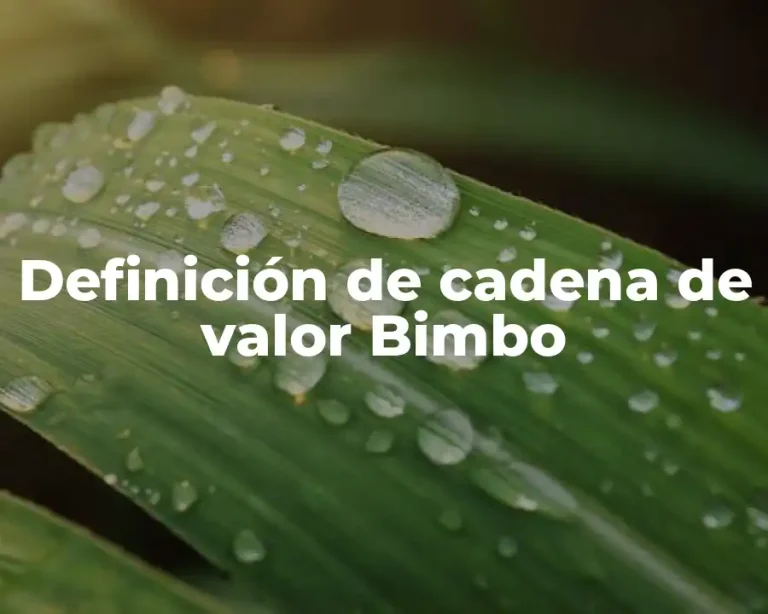 Definición de cadena de valor Bimbo