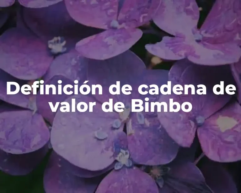 Definición de cadena de valor de Bimbo