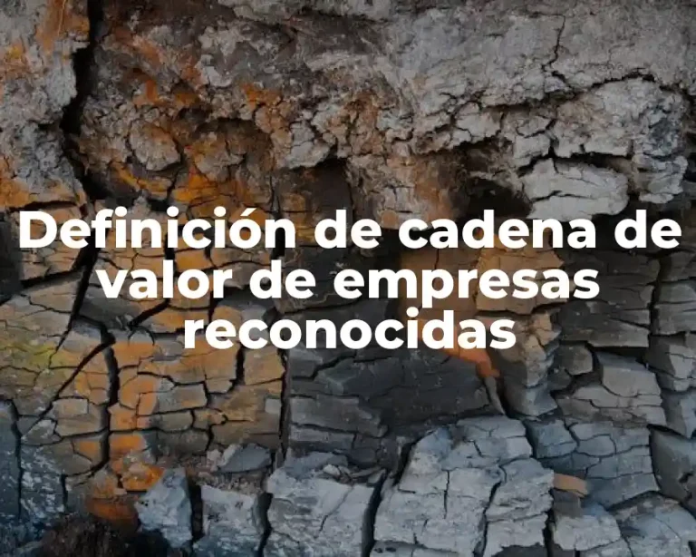 Definición de cadena de valor de empresas reconocidas