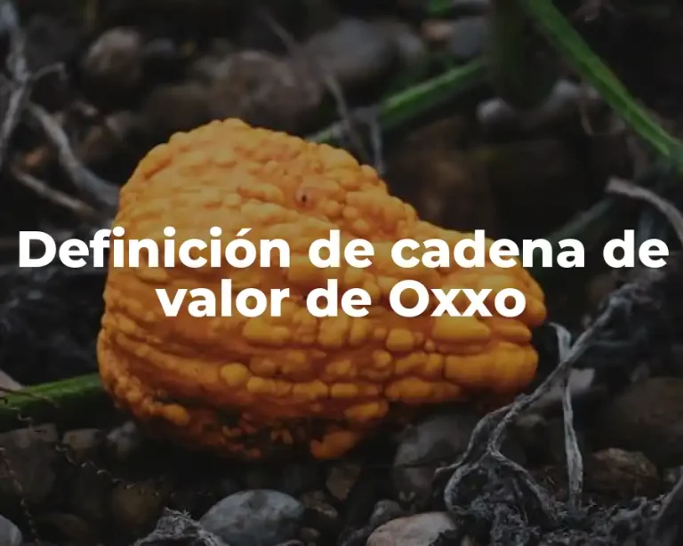 Definición de cadena de valor de Oxxo