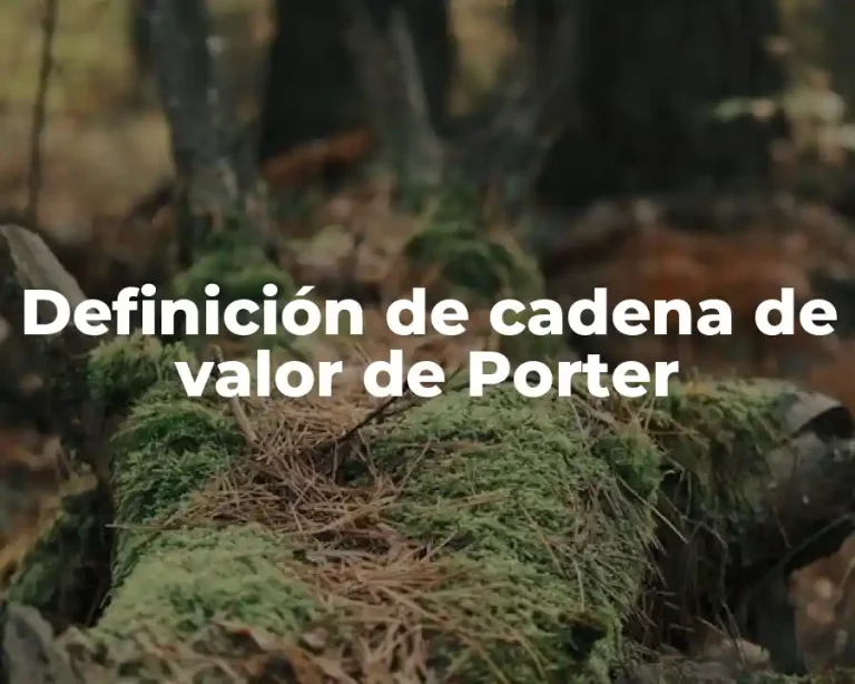 Definición de cadena de valor de Porter