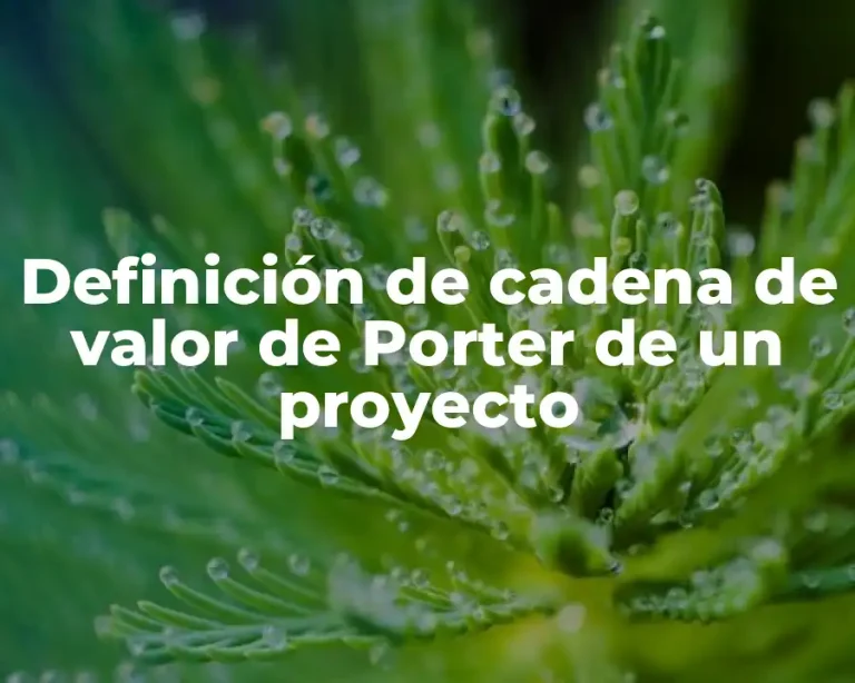 Definición de cadena de valor de Porter de un proyecto