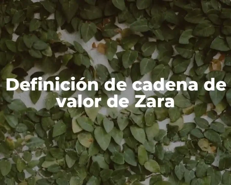 Definición de cadena de valor de Zara