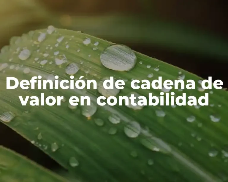 Definición de cadena de valor en contabilidad