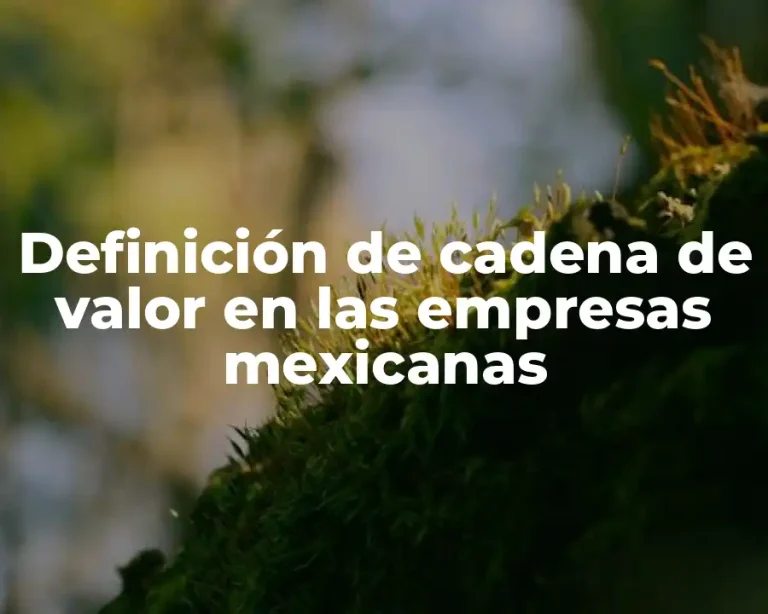 Definición de cadena de valor en las empresas mexicanas