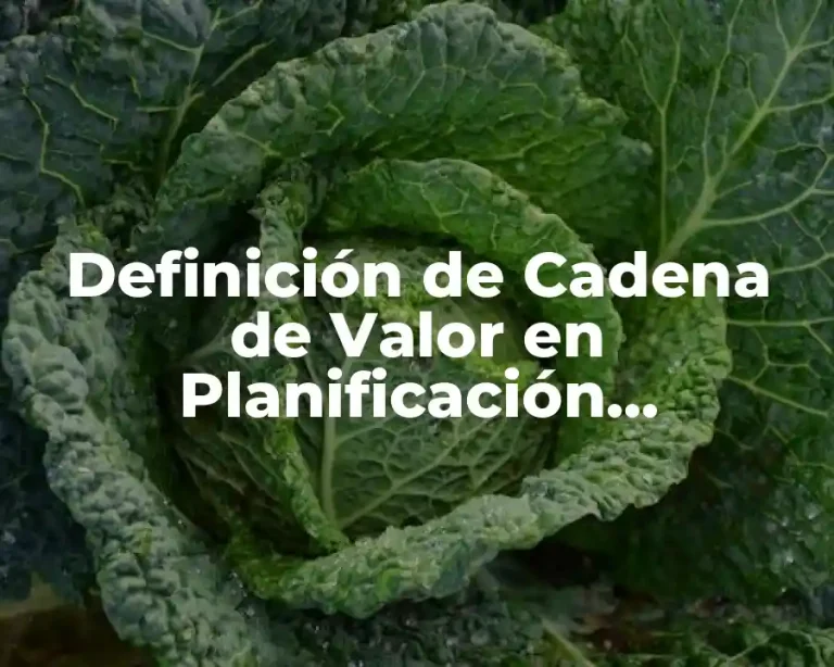 Definición de Cadena de Valor en Planificación Estratégica