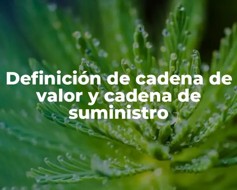 Definición de cadena de valor y cadena de suministro