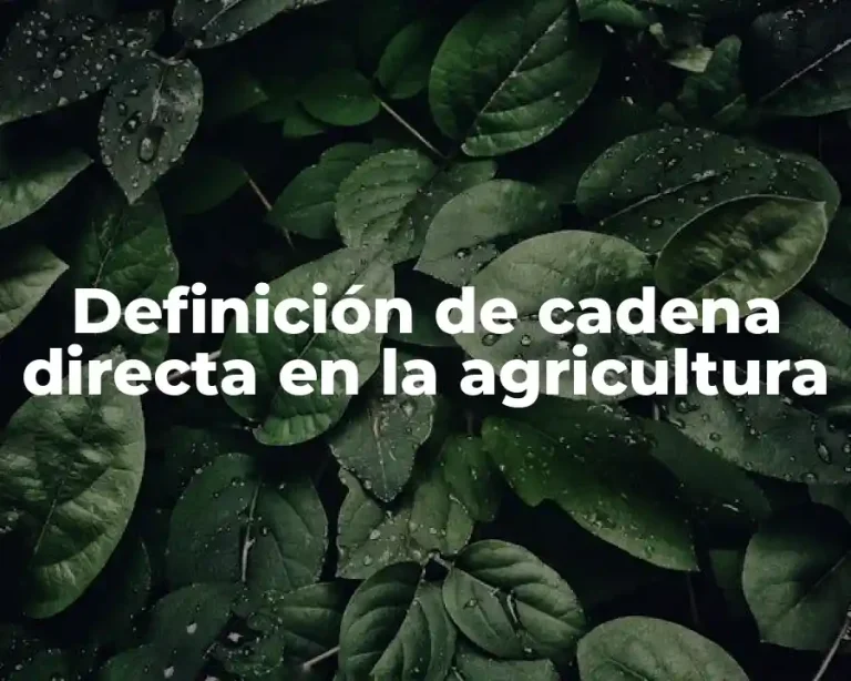 Definición de cadena directa en la agricultura