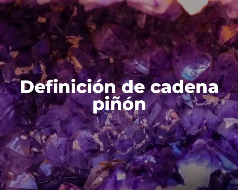 Definición de cadena piñón
