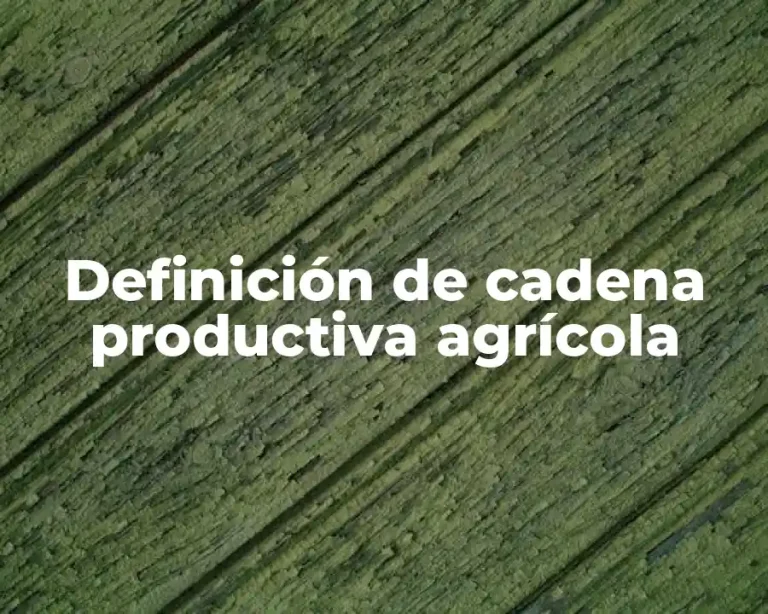 Definición de cadena productiva agrícola