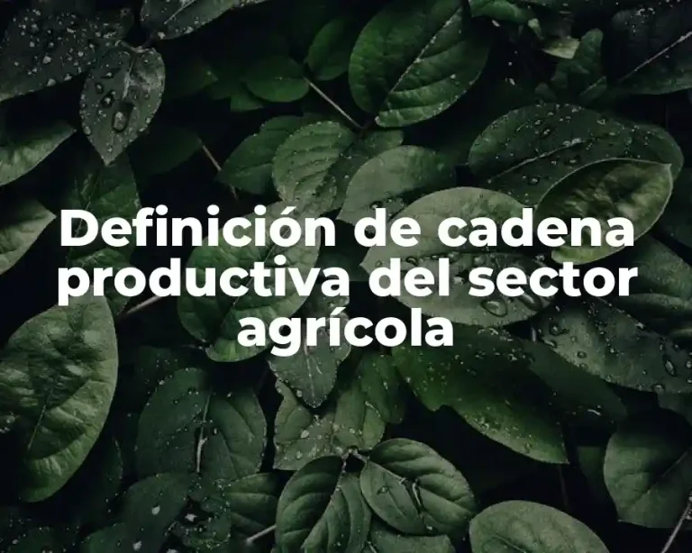 Definición de cadena productiva del sector agrícola