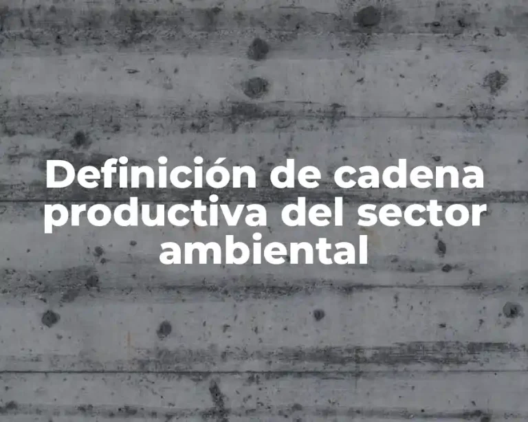 Definición de cadena productiva del sector ambiental