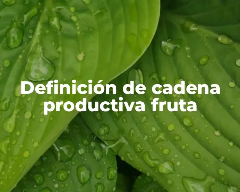Definición de cadena productiva fruta