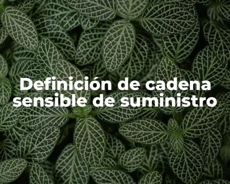 Definición de cadena sensible de suministro