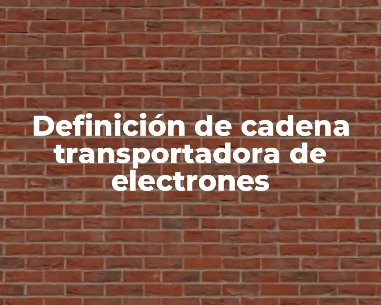 Definición de cadena transportadora de electrones