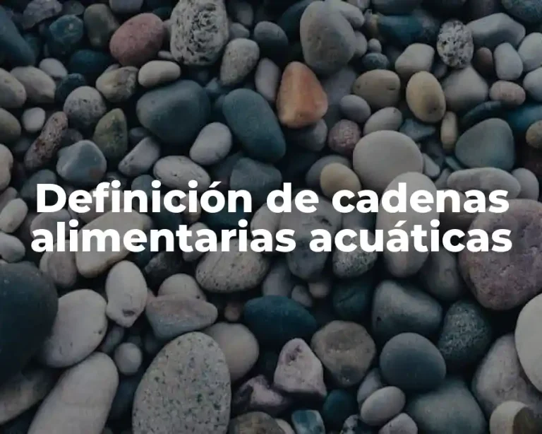 Definición de cadenas alimentarias acuáticas