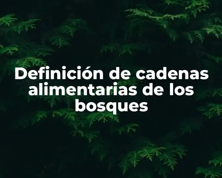 Definición de cadenas alimentarias de los bosques