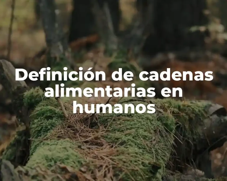 Definición de cadenas alimentarias en humanos