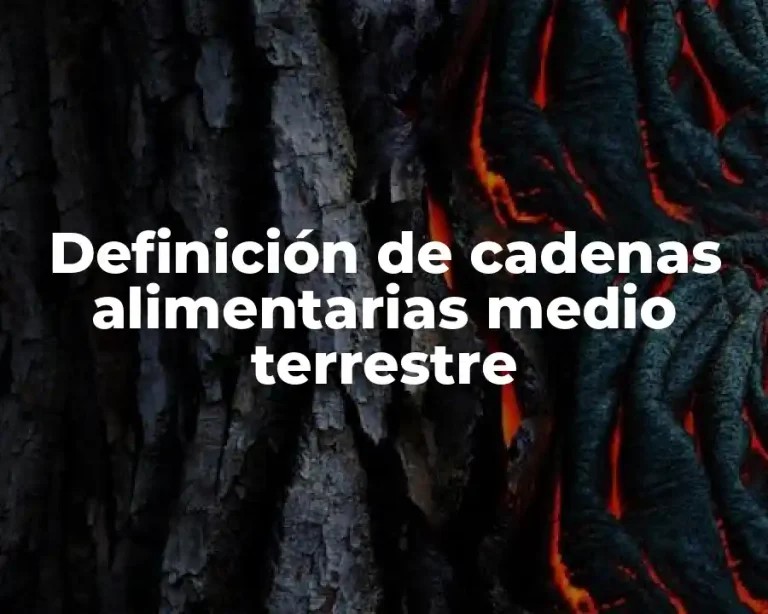 Definición de cadenas alimentarias medio terrestre