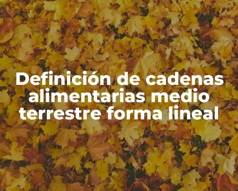 Definición de cadenas alimentarias medio terrestre forma lineal