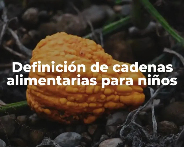 Definición de cadenas alimentarias para niños