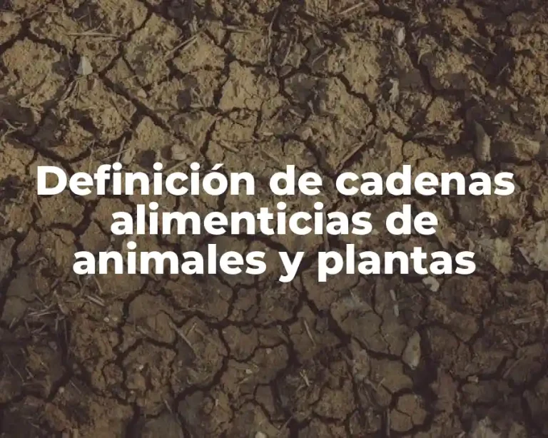 Definición de cadenas alimenticias de animales y plantas