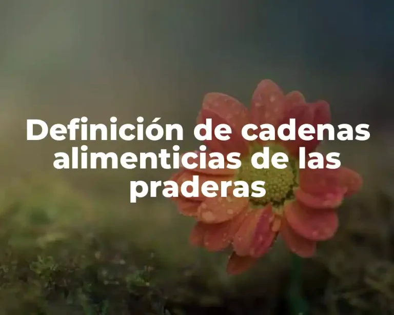 Definición de cadenas alimenticias de las praderas