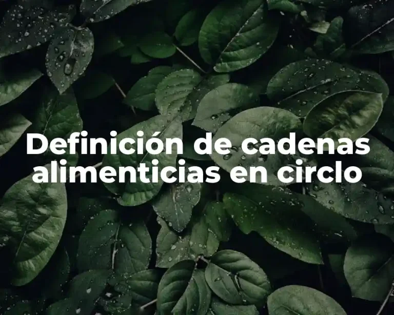 Definición de cadenas alimenticias en circlo