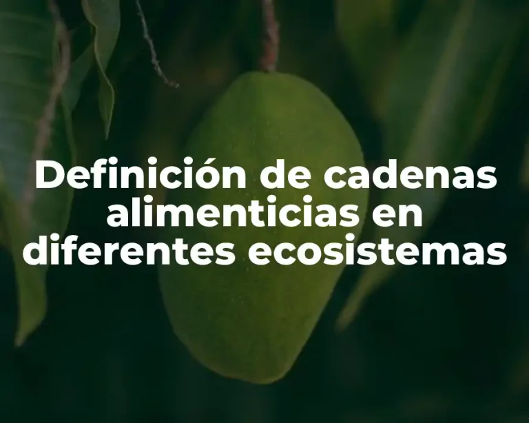 Definición de cadenas alimenticias en diferentes ecosistemas
