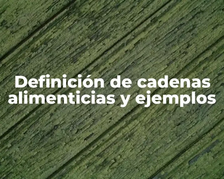 Definición de cadenas alimenticias y ejemplos