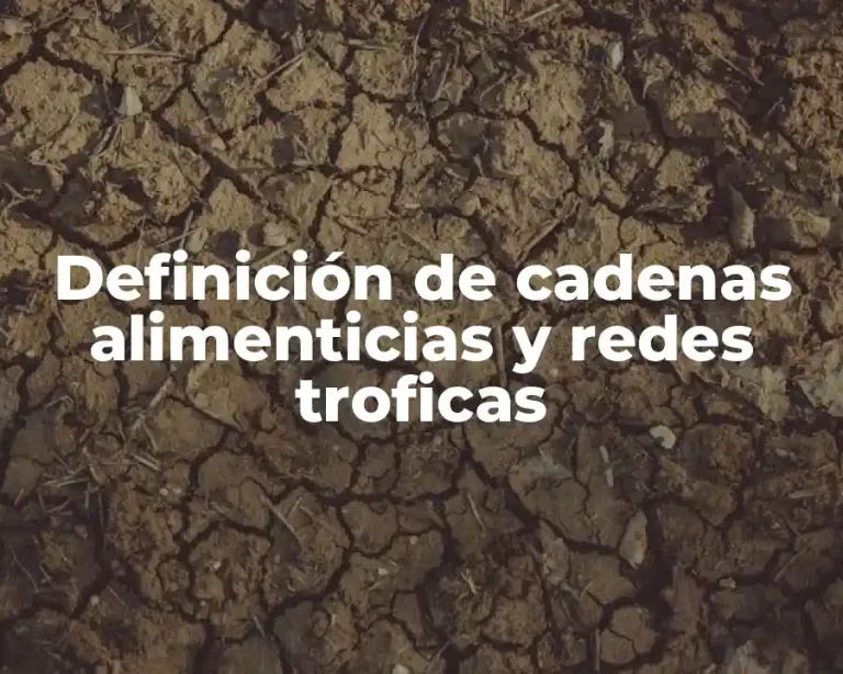 Definición de cadenas alimenticias y redes troficas