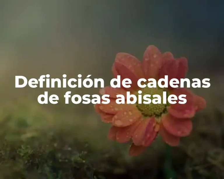 Definición de cadenas de fosas abisales