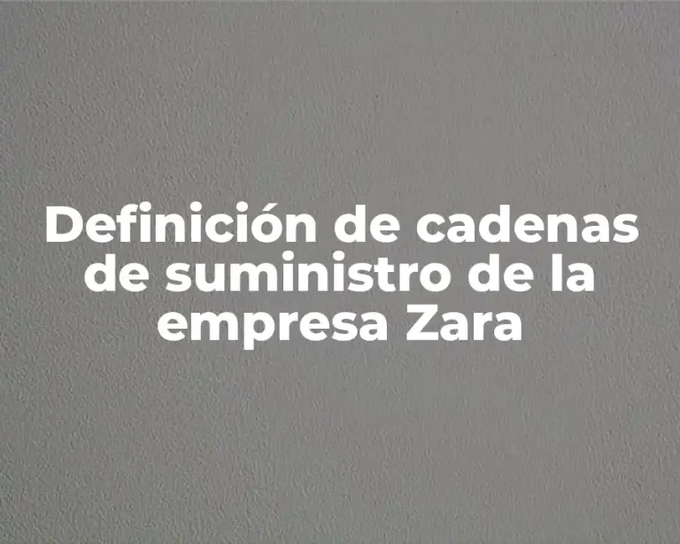 Definición de cadenas de suministro de la empresa Zara